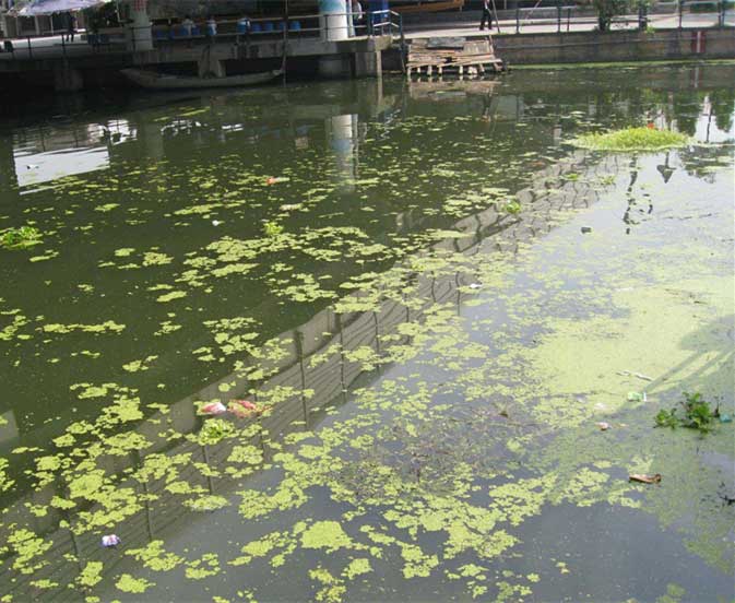 河道治理